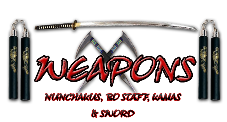Infinity Martial Arts - Weapons